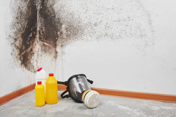 Best Residential Mold Removal  in Bar Nunn, WY