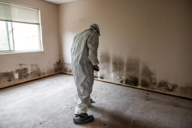 Best Toxic Mold Removal  in Bar Nunn, WY