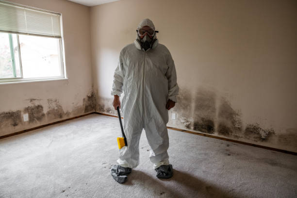 Best Professional Mold Removal  in Bar Nunn, WY